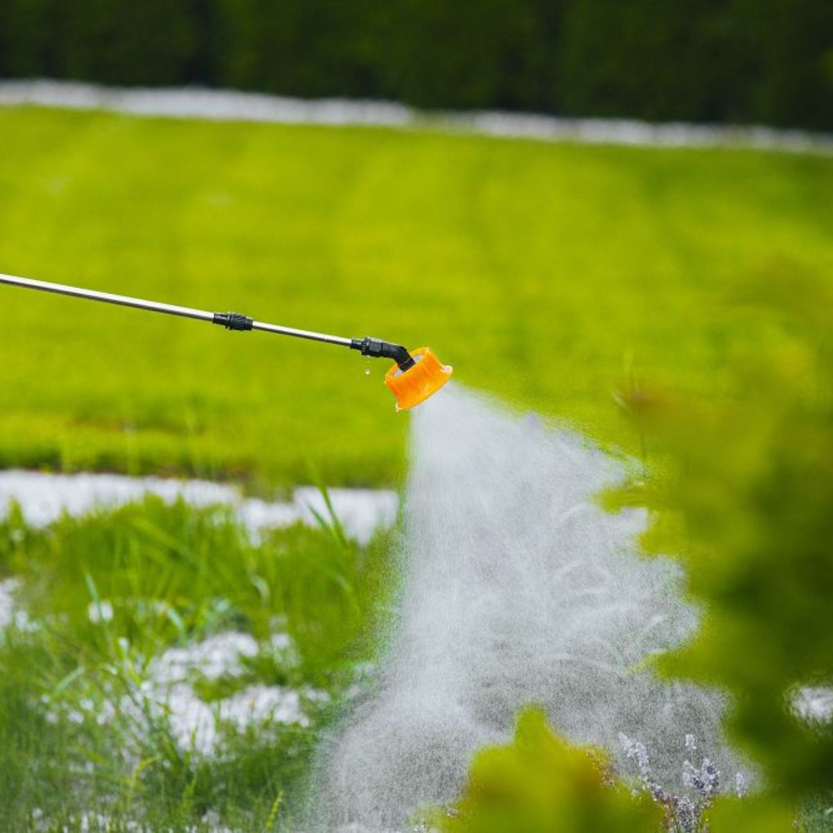 Pulverizator Electric 20L Red Technic, 12V/8Ah, Pompa cu Diafragmă, 4 Duze, 16, hectarul.ro