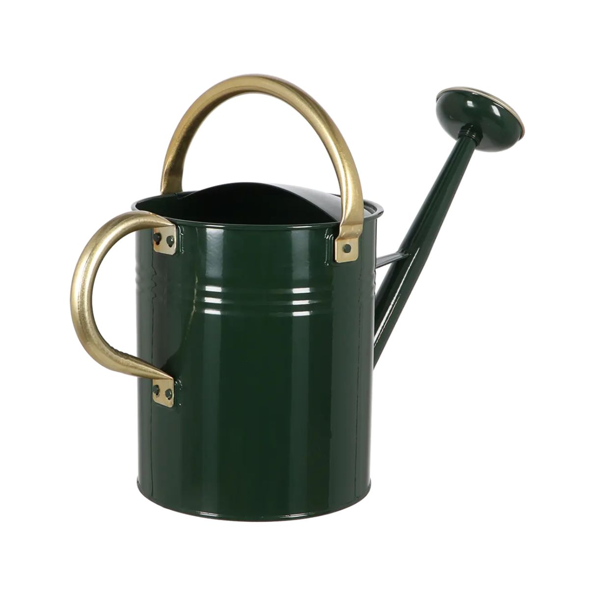 Stropitoare verde metalica 9,5 L cm Esschert Design, 4, hectarul.ro