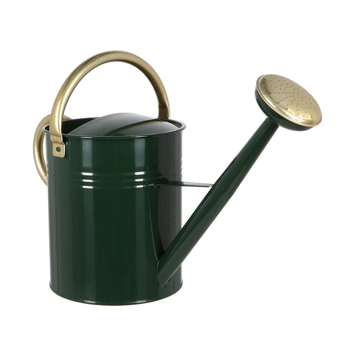Stropitoare verde metalica 9,5 L cm Esschert Design, 5, hectarul.ro