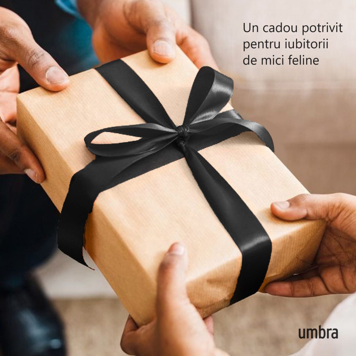 Suport pentru bijuterii, din metal si catifea, Ali Cat Umbra, 12, hectarul.ro