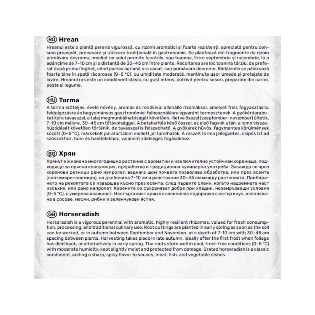Stolon Hrean – 1 Bucată, Agrosel, 3, hectarul.ro