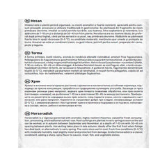 Stolon Hrean – 1 Bucată, Agrosel