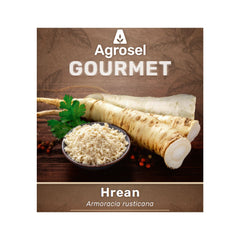 Stolon Hrean – 1 Bucată, Agrosel