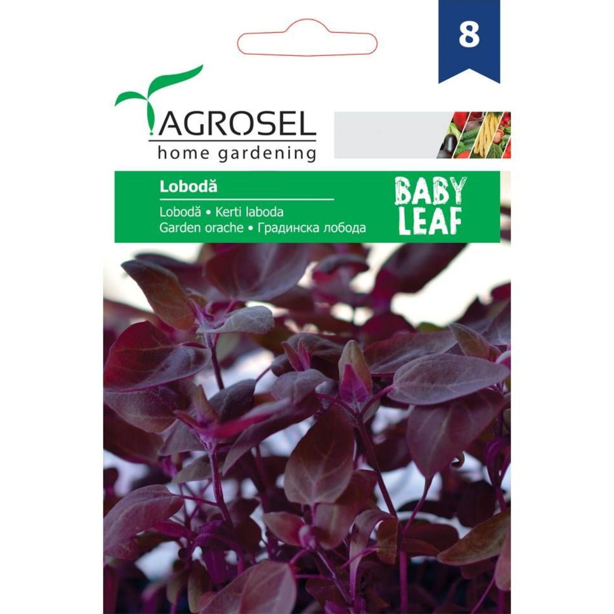 Seminte loboda rosie baby leaf AGROSEL 2g, 1, hectarul.ro
