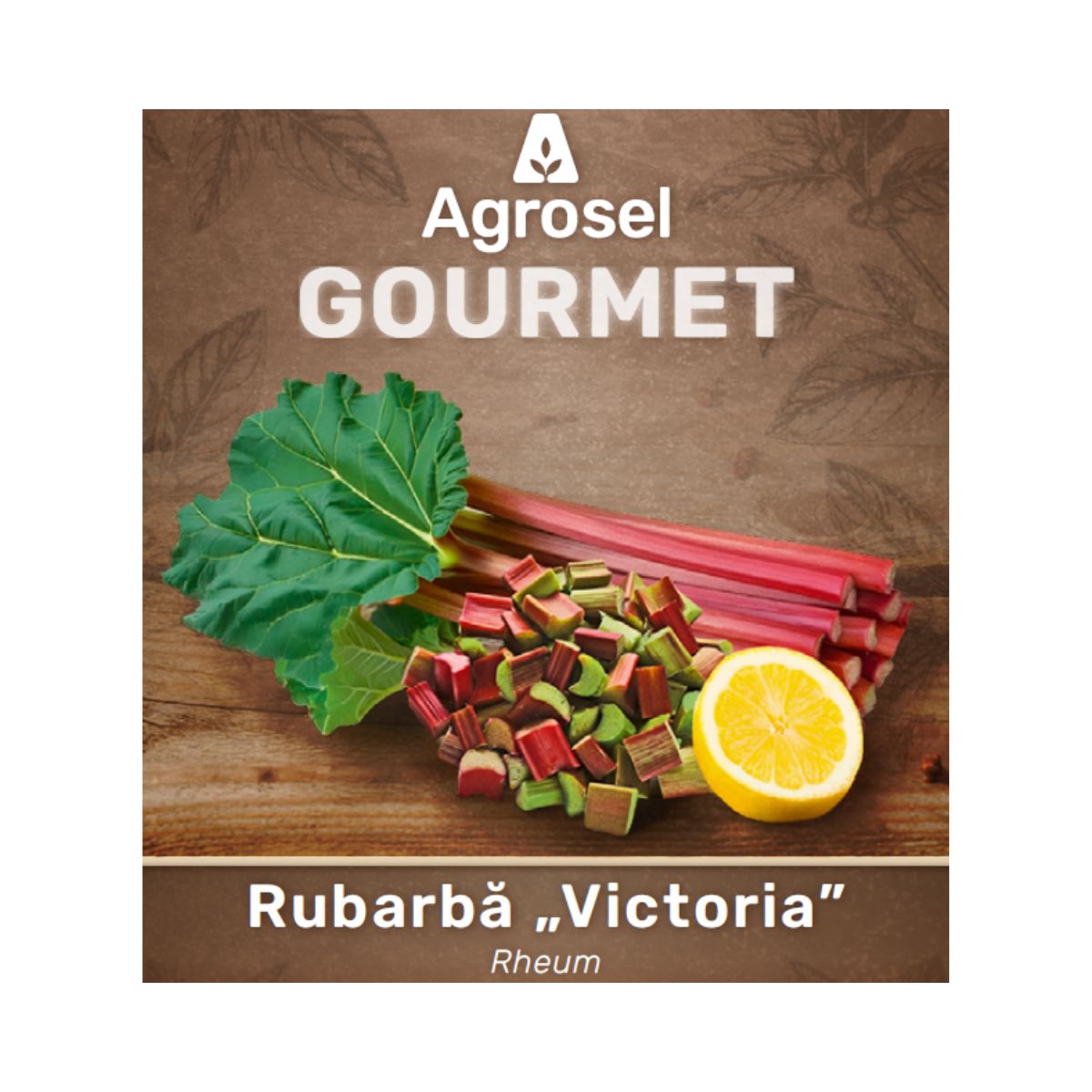 Stolon Rubarbă „Victoria” – 1 Bucată, Agrosel, 2, hectarul.ro