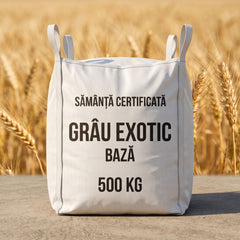 Sămânță certificată grâu de toamnă EXOTIC BAZĂ tratată cu Celest Extra, Big Bag 500 kg