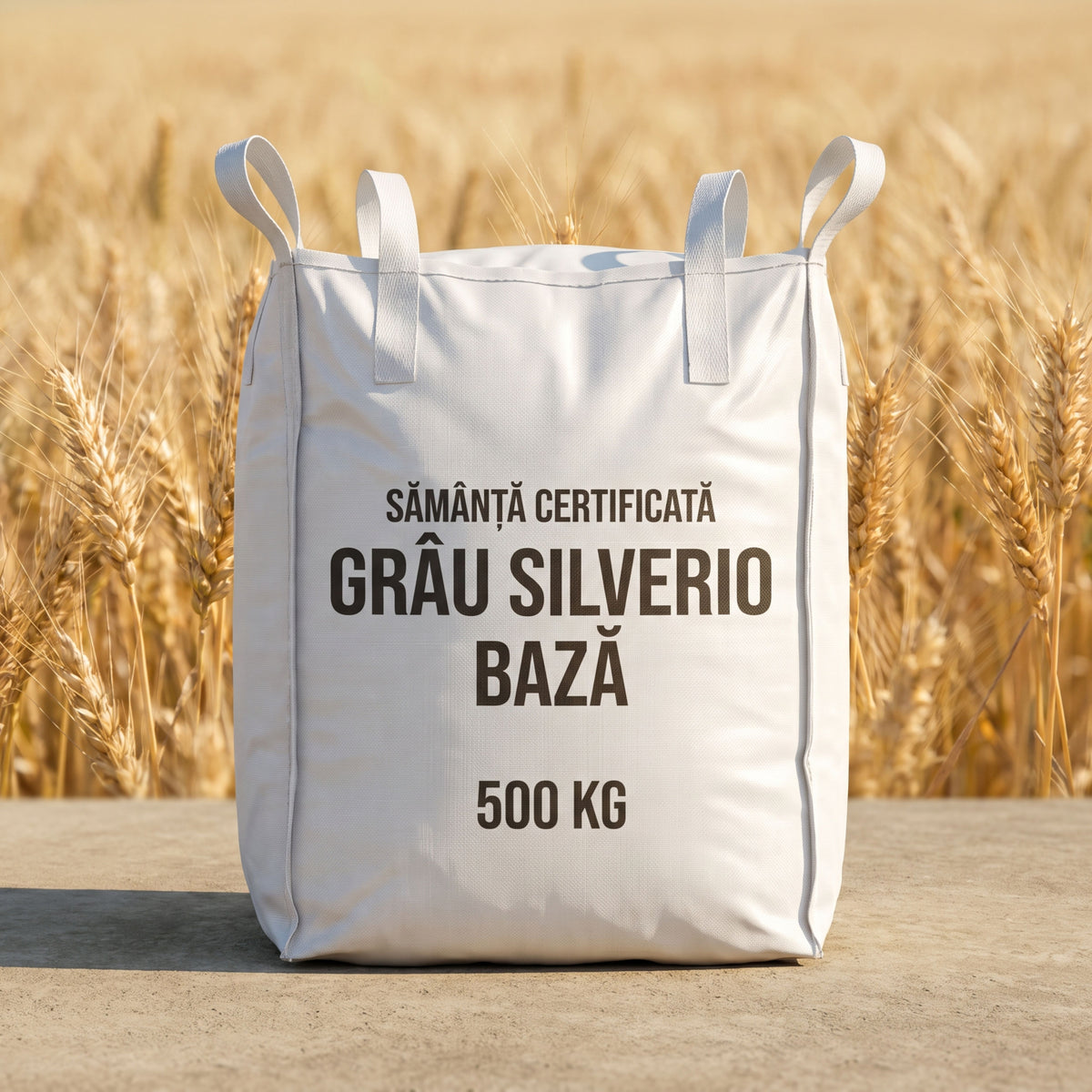 Sămânță certificată grâu de toamnă SILVERIO BAZĂ tratată cu Celest Extra, Big Bag 500 kg
