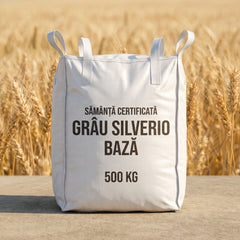 Sămânță certificată grâu de toamnă SILVERIO BAZĂ tratată cu Celest Extra, Big Bag 500 kg