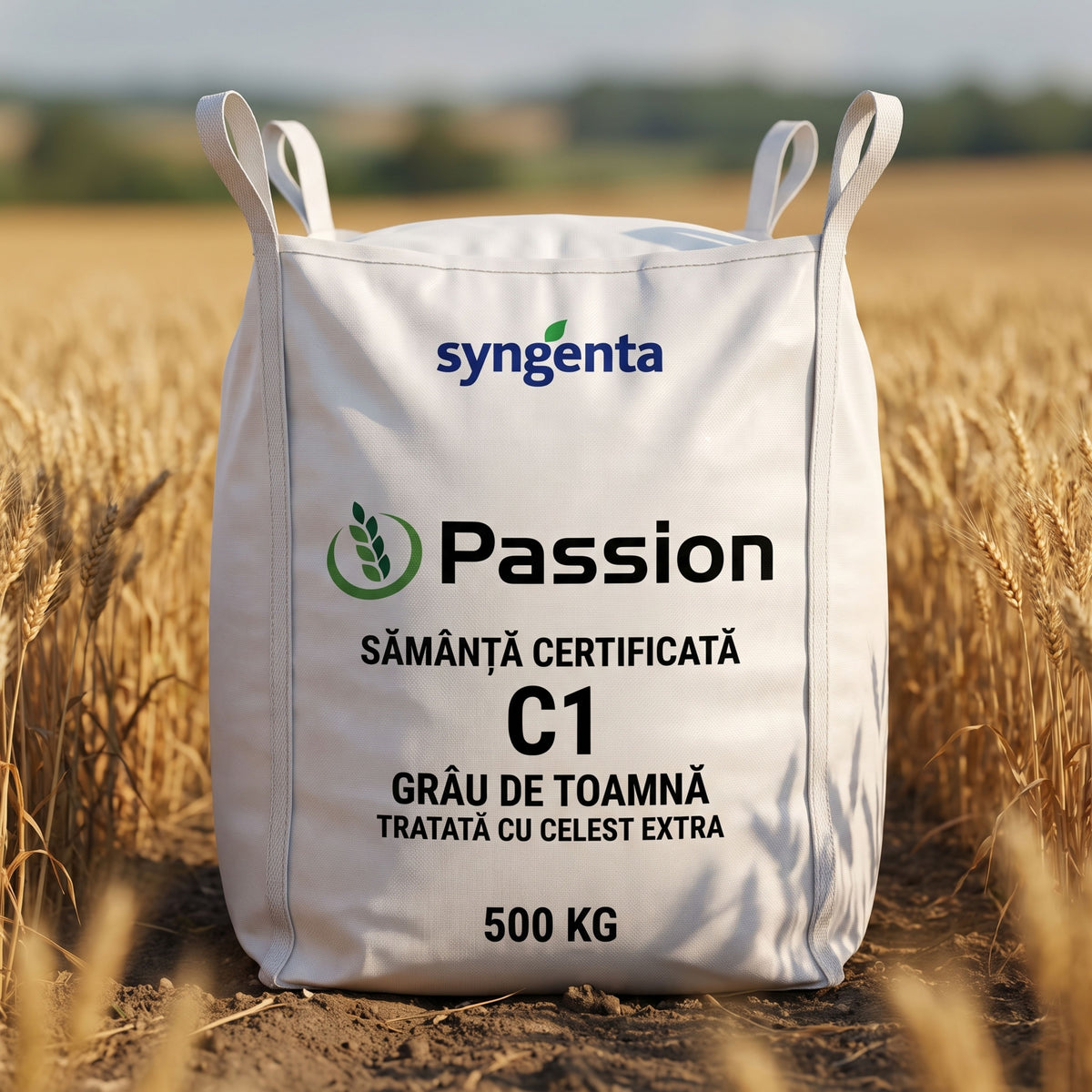 Sămânță certificată grâu de toamnă SY PASSION C1 Syngenta tratată cu Celest Extra, Big Bag 500 kg