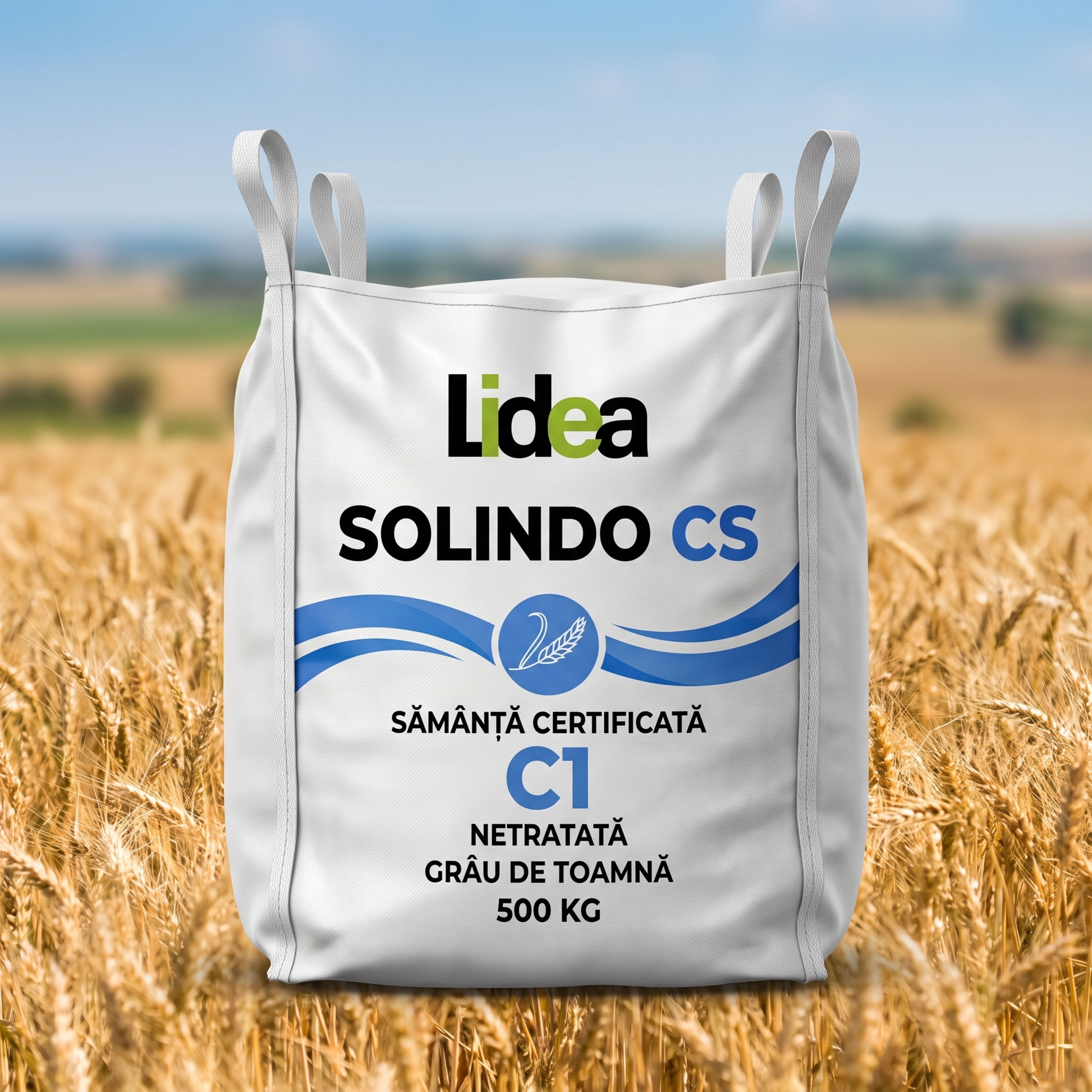 Sămânță certificată netratată grâu de toamnă SOLINDO CS C1 Lidea, Big Bag 500 kg, 1, hectarul.ro