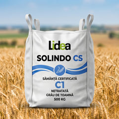 Sămânță certificată netratată grâu de toamnă SOLINDO CS C1 Lidea, Big Bag 500 kg