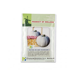 Semințe dovleac de copt Valenciano Pop Vriend Seeds 10 g, dovleac gri cu miez portocaliu