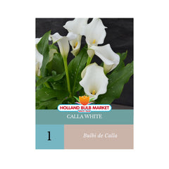 Bulbi de Cala White, 1 bulb