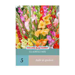 Bulbi de Gladiole MIX, 5 bulbi