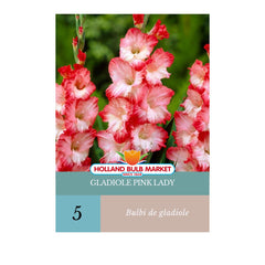 Bulbi de Gladiole Pink Lady, 5 bulbi