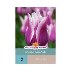 Bulbi de lalele Ballade, 5 bulbi