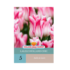 Bulbi de lalele Holland Chic, 5 bulbi