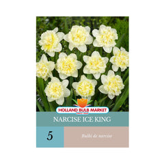 Bulbi de narcise Ice King, 5 bulbi