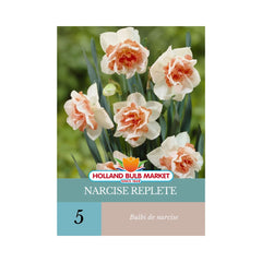 Bulbi de narcise Replete, 5 bulbi