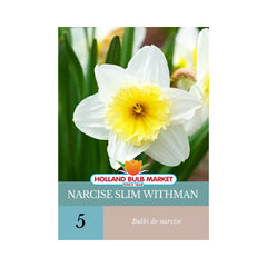 Bulbi de narcise Slim Withman, 5 bulbi