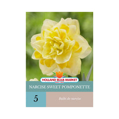 Bulbi de narcise Sweet Pomponette, 5 bulbi