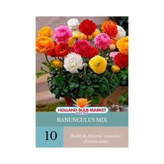 Bulbi de Ranunculus Mix (Piciorul cocosului),  10 bulbi