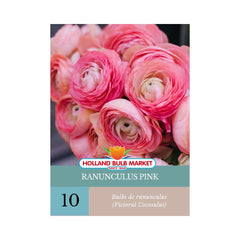Bulbi de Ranunculus (Piciorul cocosului) PINK, 10 bucati