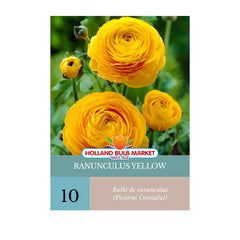 Bulbi de Ranunculus (Piciorul cocosului) YELLOW, 10 bucati