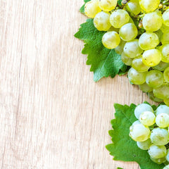 Butasi de struguri de Masa Muscat de Pölöske Yurta