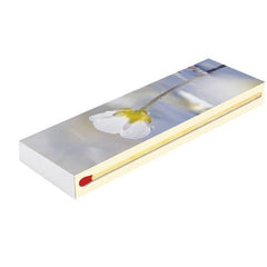 Chibrituri PE-PO, Camino MAXI Special 20 cm, 45 buc