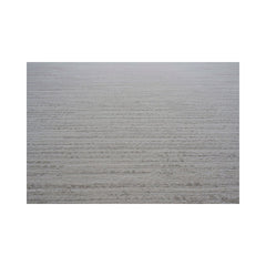 Covor crem din polipropilenă Argentum 63856 Ragolle 160x230