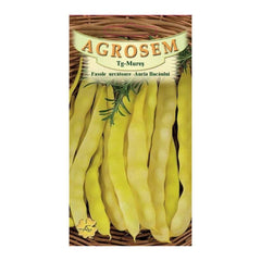 Fasole urcatoare galbena rotunda Auria BC 40gr