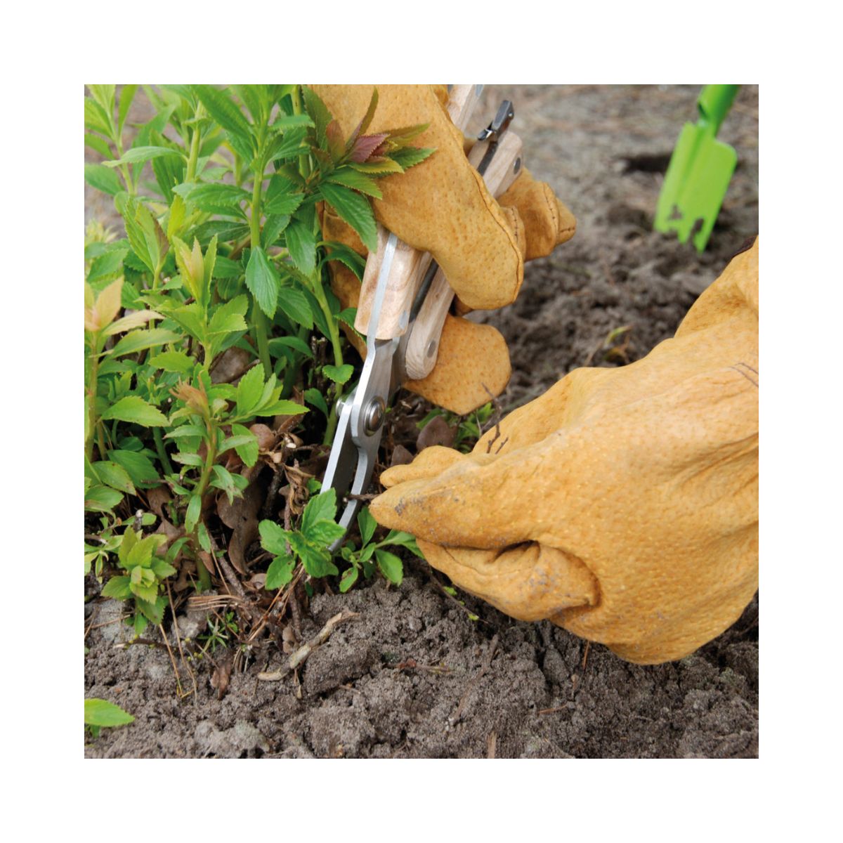 Foarfeca de gradinarit din inox si lemn 20 cm Esschert Design, 5, hectarul.ro