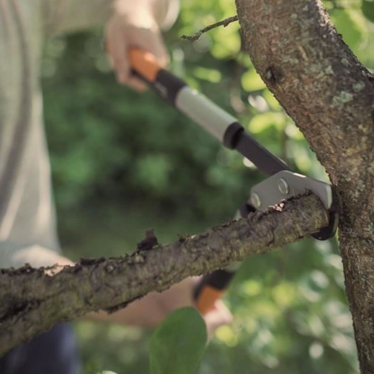 Foarfeca pas cu pas pentru ramuri groase Fiskars PowerGear X LX98, L
