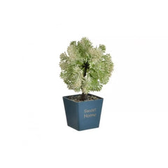 Ghiveci cu plante decorative Glow, 4 culori 4