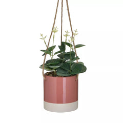 Ghiveci suspendat modern cu flori, 10x34 cm 1