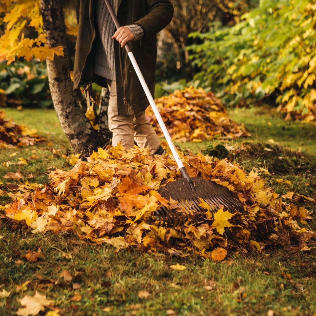 Grebla pentru frunze, Fiskars Light, 1720 mm, 590 g, 4, hectarul.ro