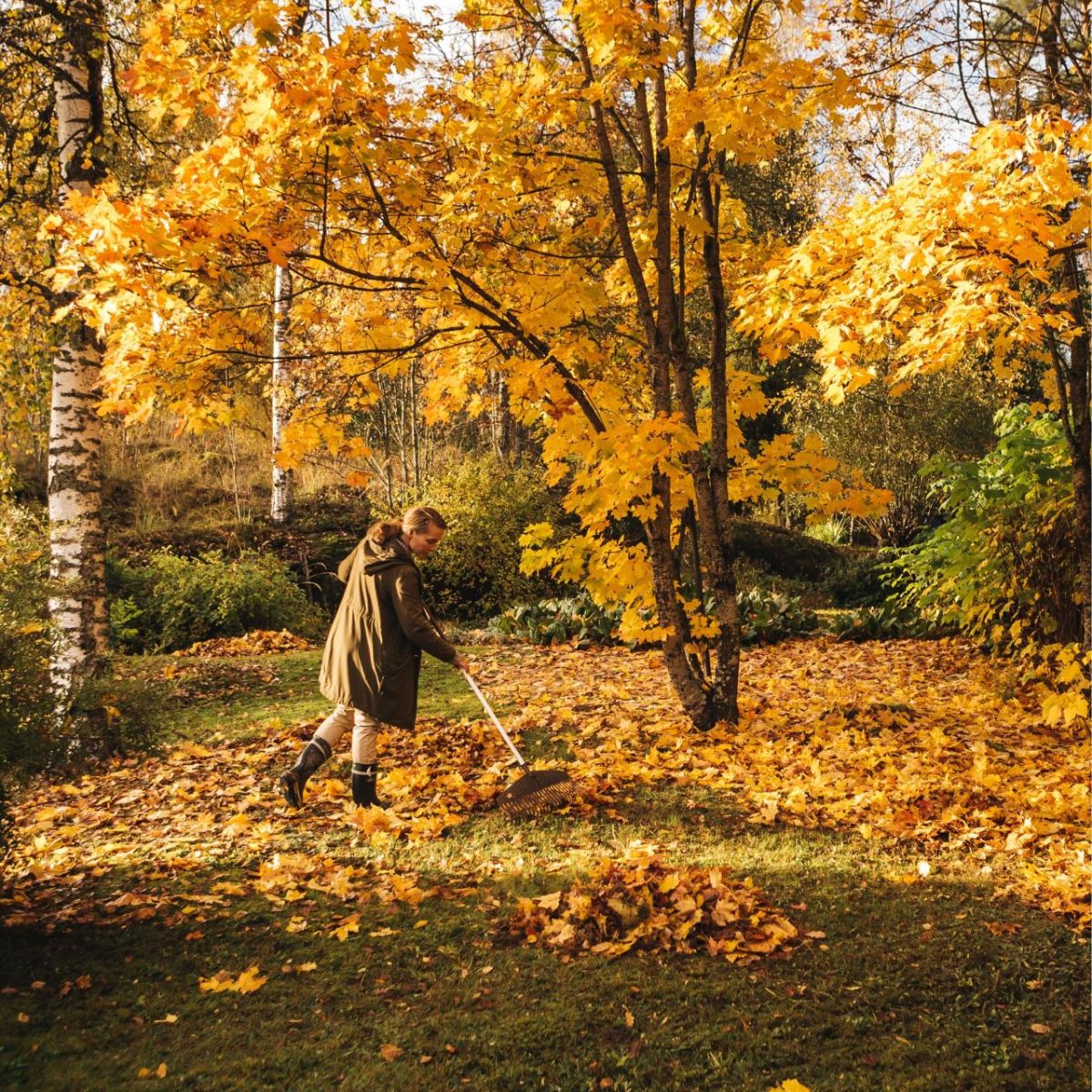 Grebla pentru frunze, Fiskars Light, 1720 mm, 590 g, 5, hectarul.ro