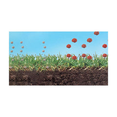 Ingrasamant gazon  Sierraform GT K-Step 06+00+27+2Mg+ME ICL Specialty Fertilizers (Everris International) 20 kg