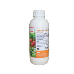 Insecticid grau, rapita, livezi, legume, vita de vie Vantex 60 CS, 1 L