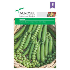 Mazare Oltena cca 75 sem Agrosel