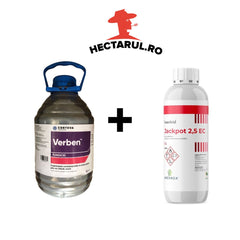 Pachet tratament cereale paioase, 5 HA, cu fungicid si insecticid, VERBEN + JACKPOT