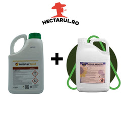 Pachet tratament Floarea Soarelui, Amistar Gold + Boron Extra, 5 hectare