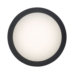 Plafoniera neagra din plastic LED Medway Brilliant
