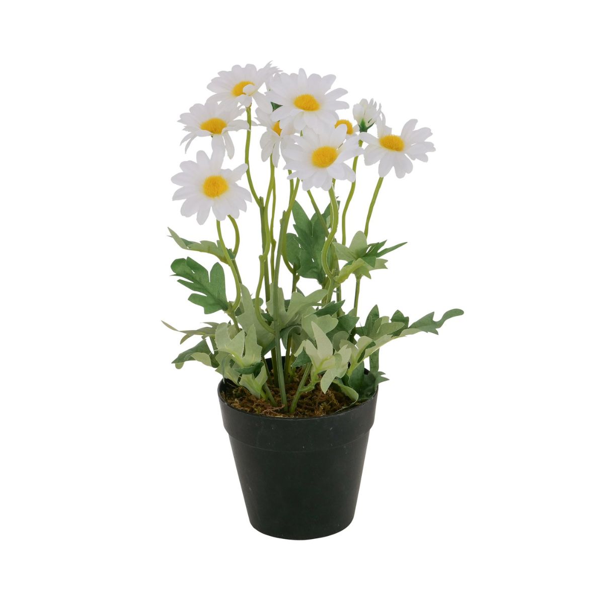 Planta artificiala in ghiveci, 28 cm, Daisy Boltze, 1, hectarul.ro
