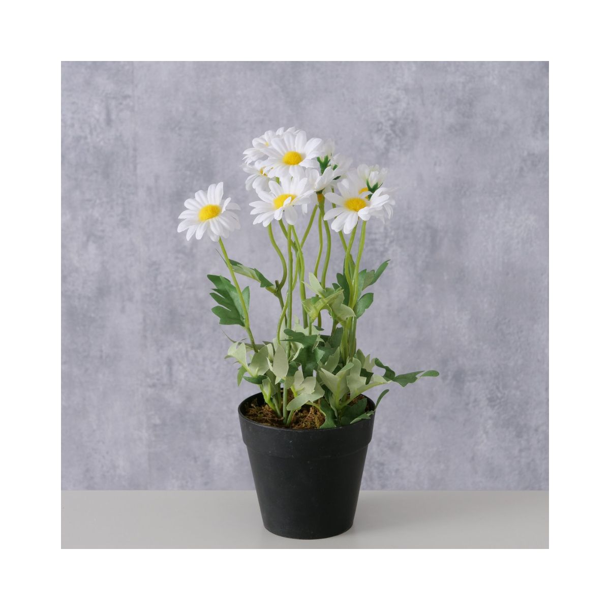 Planta artificiala in ghiveci, 28 cm, Daisy Boltze, 2, hectarul.ro