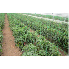 Plasa pentru plante Verde; H[m]: 1.7; L[m]: 50 EVOTOOLS