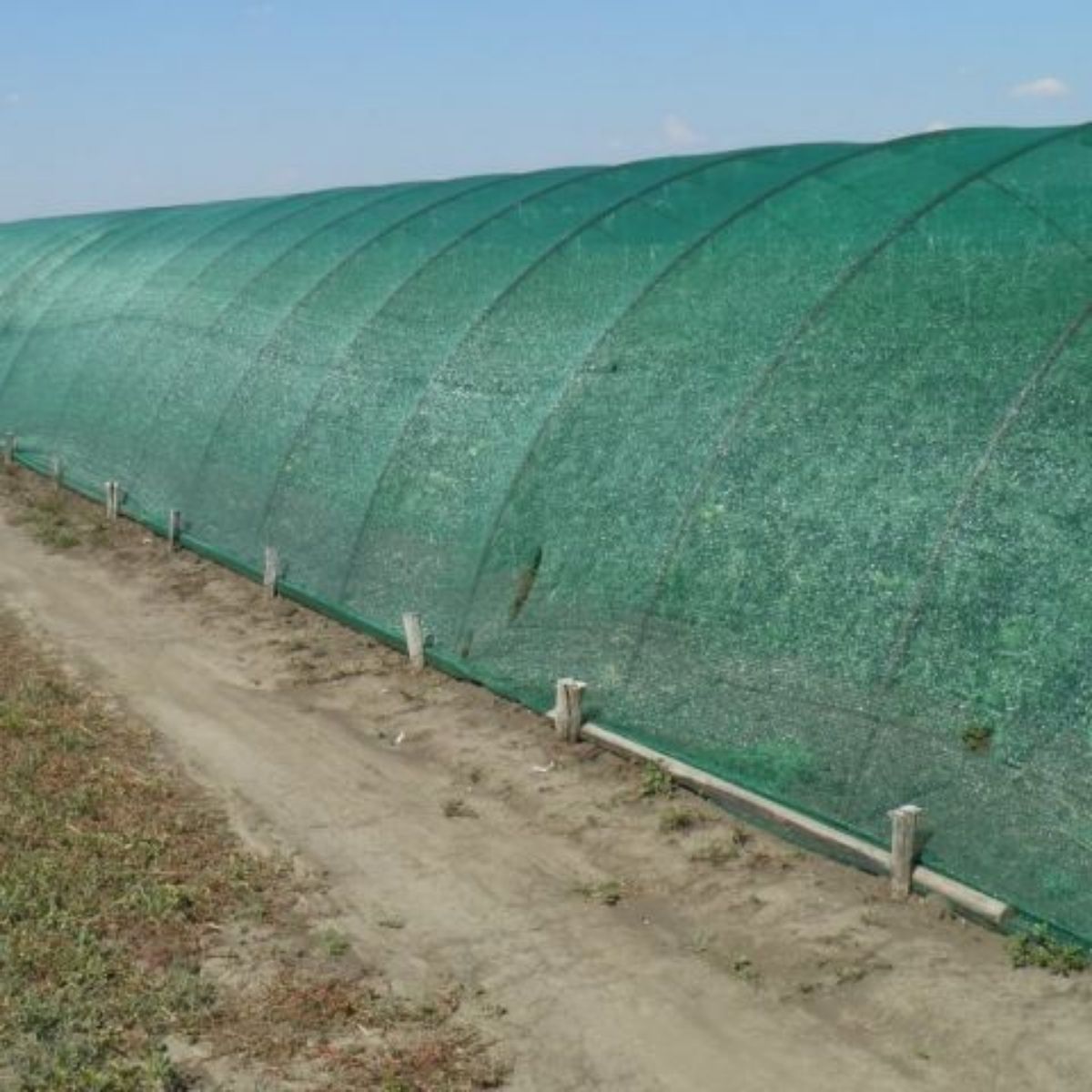 PLASA UMBRIRE VERDE - GRAD UMBRIRE 35% 1,2X 100 M