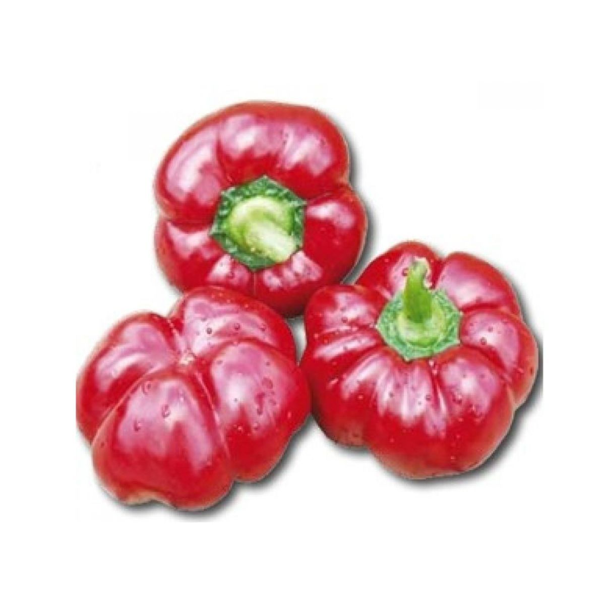 Seminte Ardei GOGOSAR Horti Tops 0.4 g, 1, hectarul.ro