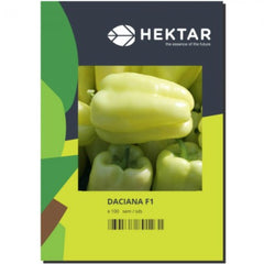 Seminte Ardei gras Daciana F1 HEKTAR 500 sem
